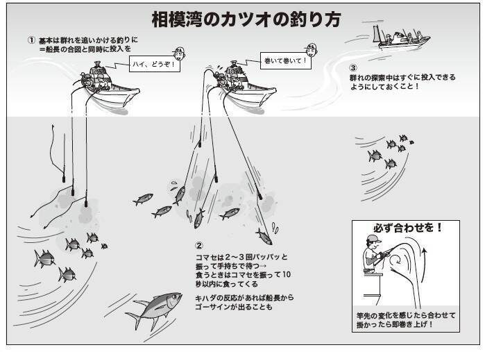 前哨戦のフカセはバッチリ　相模湾の今期やいかに !?