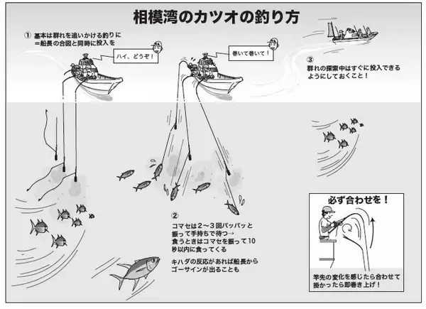 「前哨戦のフカセはバッチリ　相模湾の今期やいかに !?」の画像