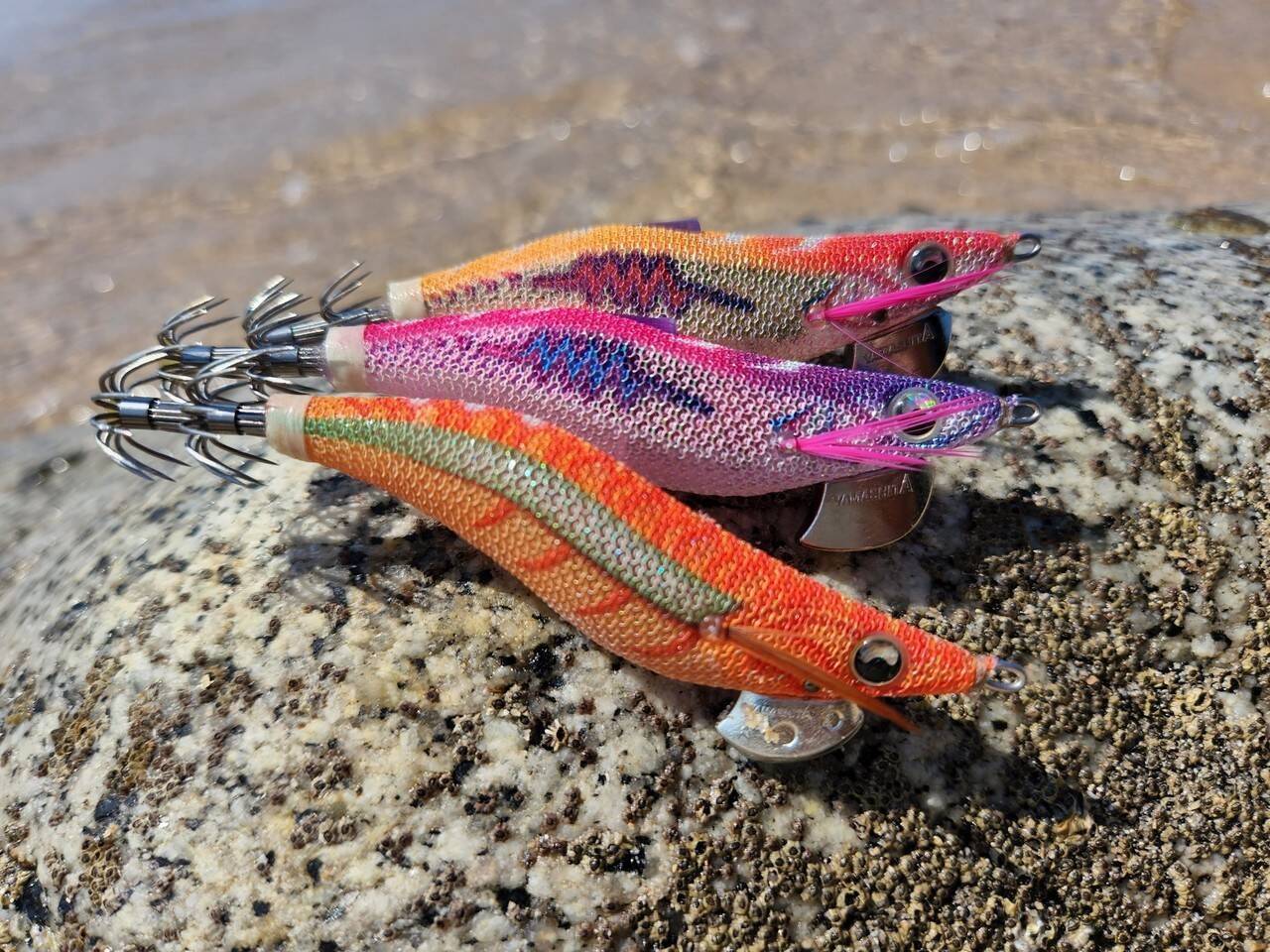 シーズン開幕直前！“秋エギング攻略法”を、エギング大好きヤマシタスタッフが徹底解説！！