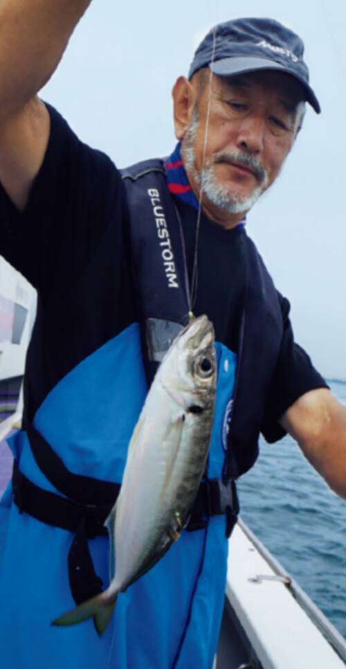 今が旬！東京湾のライトアジ