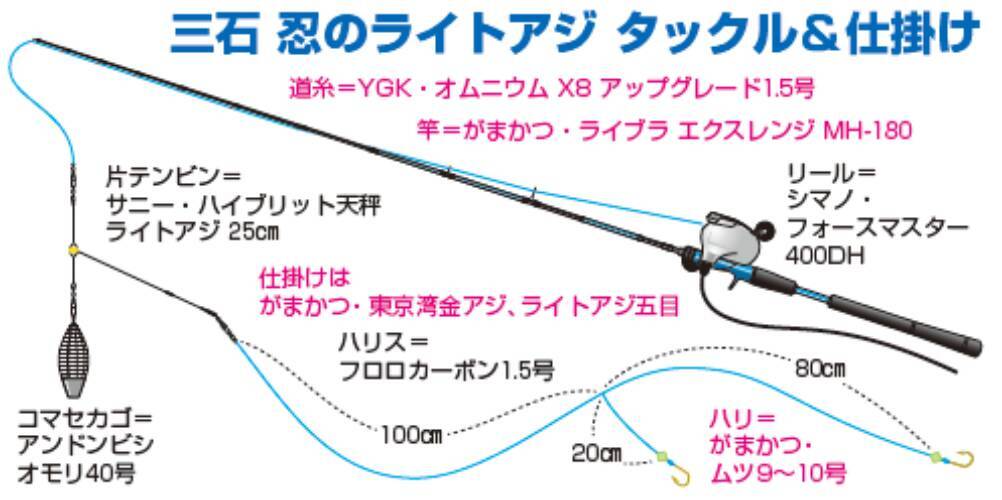 今が旬！東京湾のライトアジ