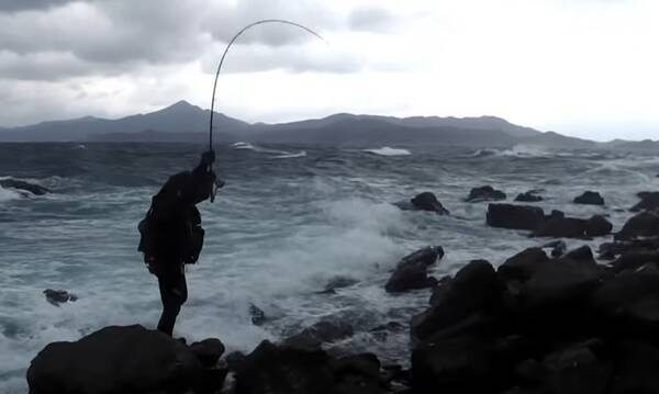 ヒラスズキ用ロッドってどれを選べばいいの おすすめアイテムをチェック 22年7月5日 エキサイトニュース