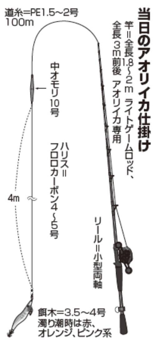Bigサイズがジワジワ接近中春アオリ好期目前