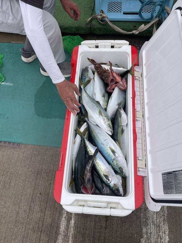【釣果速報】茨城県日立丸でワラサ、ヒラマサ、イナダなどゲット！青物好調！この勢いに今すぐ乗ろう！