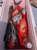 「【釣果速報】神奈川県太郎丸でキンメダイを捕獲！最大44cm！深海に潜む真っ赤な高級魚を探しに行こう！」の画像1