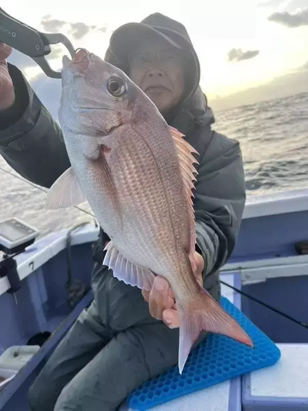 【釣果速報】千葉県新幸丸で4.80kgのど迫力マダイをキャッチ！ワラサ・イサキ・カサゴ・カンダイなども！あなたも大物マダイを捕まえに行きませんか？