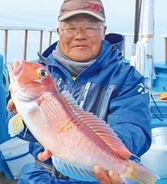 良型主体で食い活発！日立沖のアマダイ好調