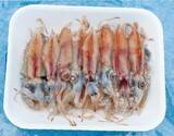「良型主体で食い活発！日立沖のアマダイ好調」の画像2