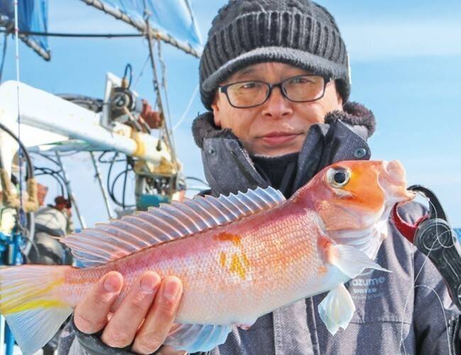 良型主体で食い活発！日立沖のアマダイ好調