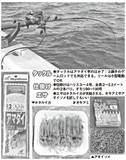 「良型主体で食い活発！日立沖のアマダイ好調」の画像4
