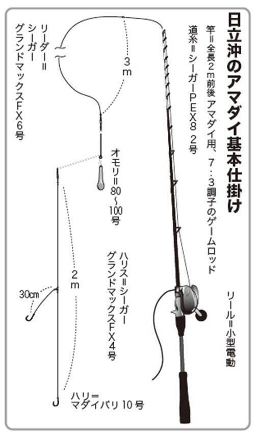 良型主体で食い活発！日立沖のアマダイ好調