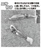 「良型主体で食い活発！日立沖のアマダイ好調」の画像6