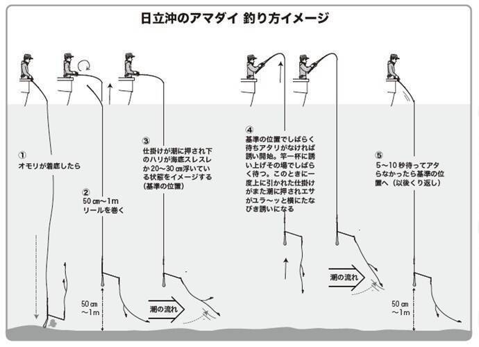 良型主体で食い活発！日立沖のアマダイ好調