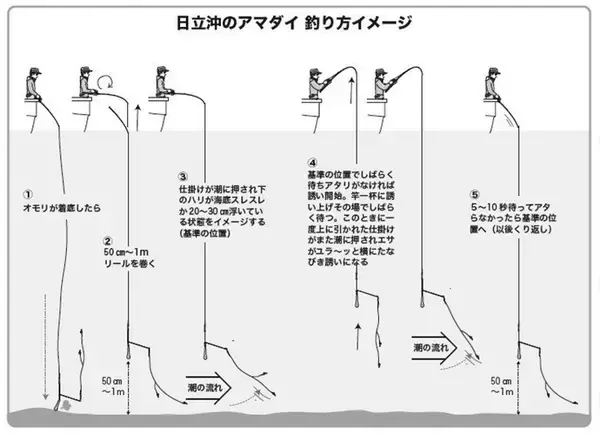 「良型主体で食い活発！日立沖のアマダイ好調」の画像