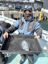 【釣果速報】神奈川県藤八丸でアオリイカをキャッチ！船中10杯！あなたもアオリイカを狙おう！