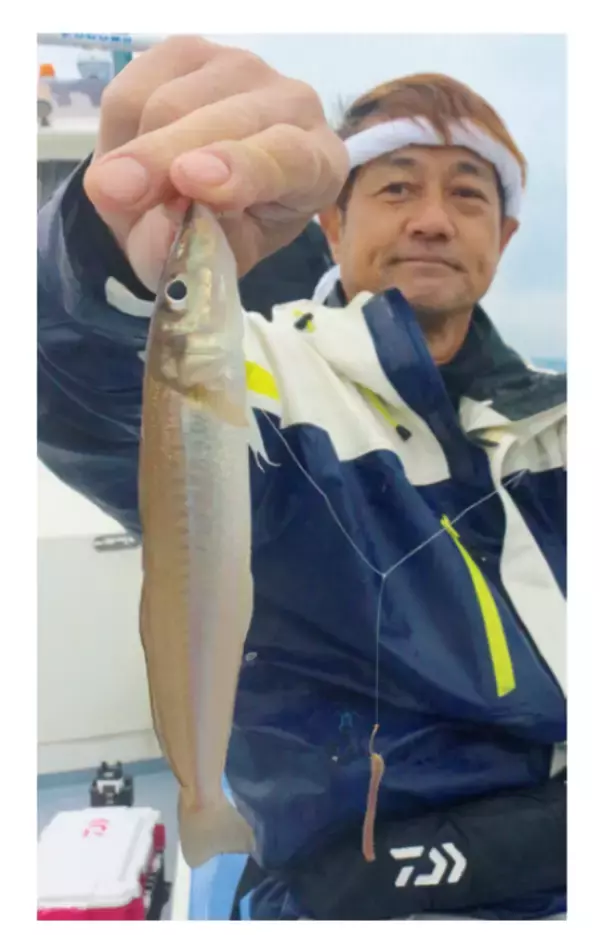 みんなでワイワイ気楽に行こう！東京湾のシロギス