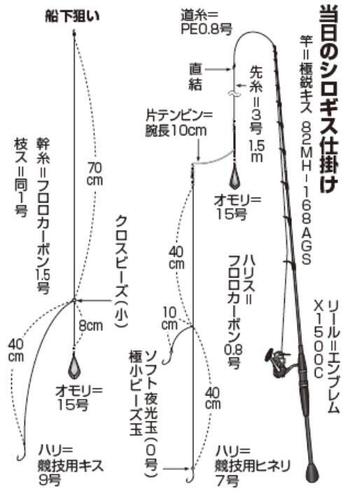 みんなでワイワイ気楽に行こう！東京湾のシロギス