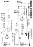 「みんなでワイワイ気楽に行こう！東京湾のシロギス」の画像4