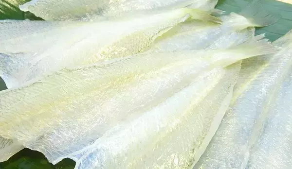 キス釣りを楽しみたい！釣れる時期や釣り方・おすすめタックルをピックアップ