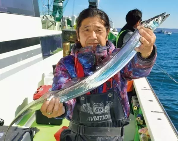 「今こそめちゃウマ！ 東京湾の極上タチウオ」の画像
