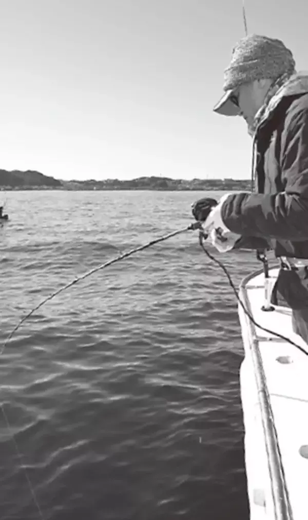 「今こそめちゃウマ！ 東京湾の極上タチウオ」の画像
