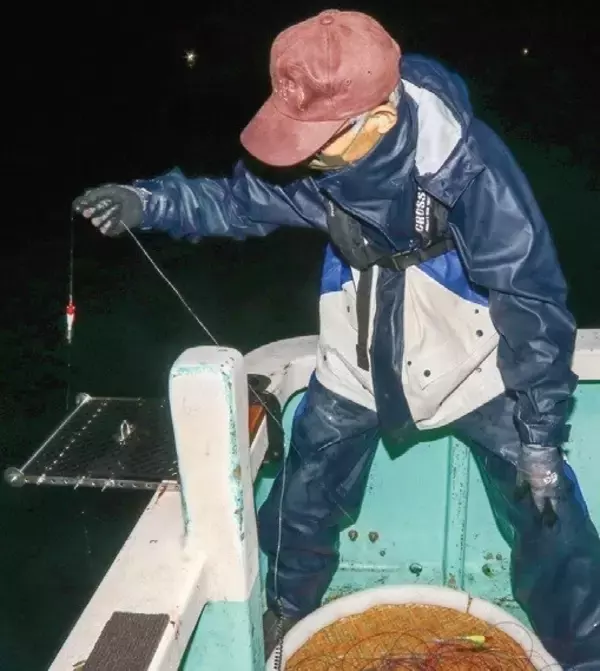 ファン待望の好シーズン　沼津沖の夜ムギイカ好発進