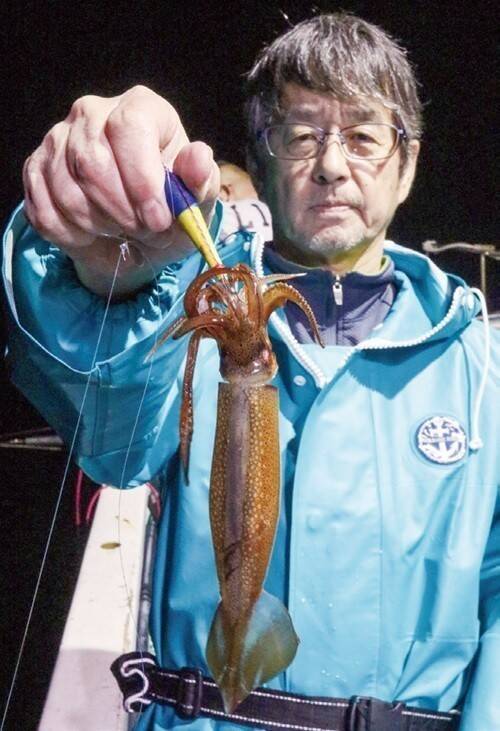 ファン待望の好シーズン　沼津沖の夜ムギイカ好発進