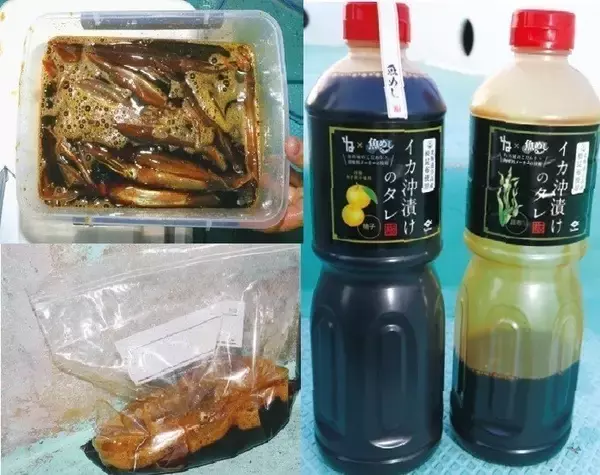 「ファン待望の好シーズン　沼津沖の夜ムギイカ好発進」の画像