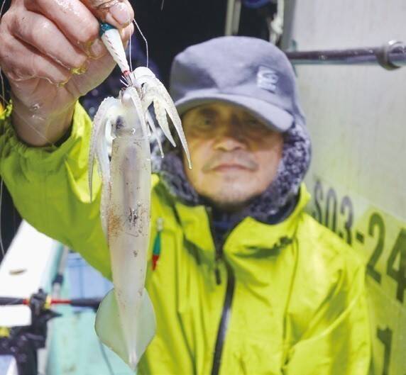 ファン待望の好シーズン　沼津沖の夜ムギイカ好発進