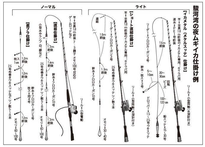 ファン待望の好シーズン　沼津沖の夜ムギイカ好発進