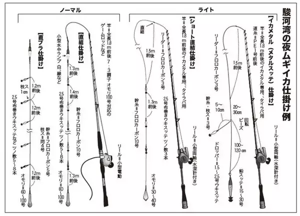 「ファン待望の好シーズン　沼津沖の夜ムギイカ好発進」の画像