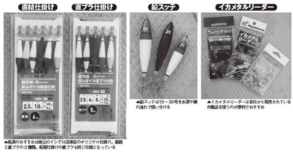 ファン待望の好シーズン　沼津沖の夜ムギイカ好発進