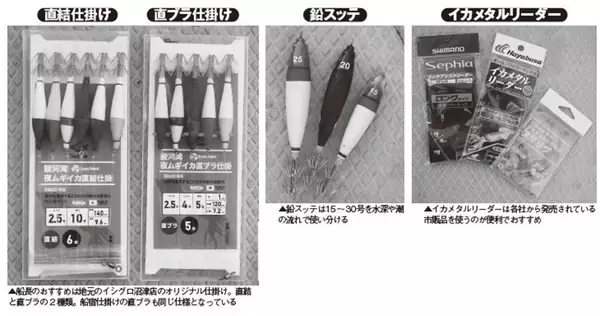 「ファン待望の好シーズン　沼津沖の夜ムギイカ好発進」の画像