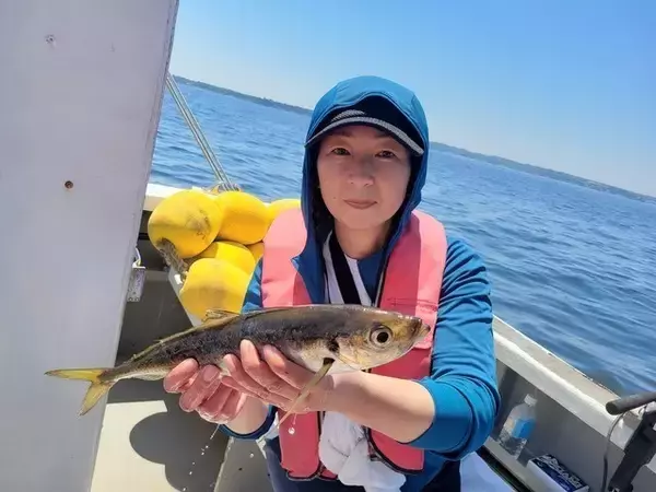 「【釣果速報】マダイ・クロダイ・マアジが続々HIT！人気魚種を総取りするなら神奈川県岩伊丸に今すぐ乗船を！」の画像