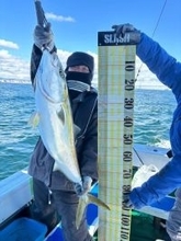 【釣果速報】兵庫県海蓮丸でブリやマダイを好調にゲット！船長がこれから乗船する人にアドバイスを伝授！爆釣したい方は必見！