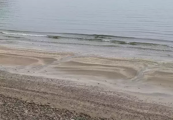 「サーフゲームでビッグフィッシュを釣りたい！秋におすすめの釣り方をチェック」の画像