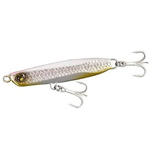 サーフゲームでビッグフィッシュを釣りたい！秋におすすめの釣り方をチェック