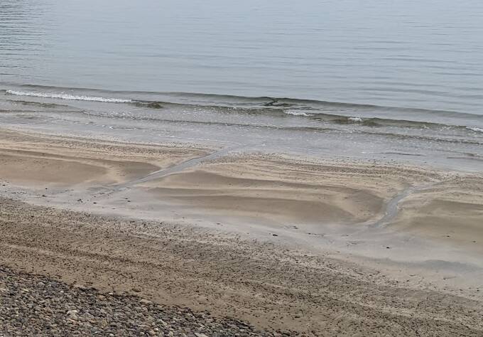 サーフゲームでビッグフィッシュを釣りたい！秋におすすめの釣り方をチェック