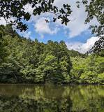 「池や渓流でイノシシに遭遇してしまった！どう対処すればいいの？」の画像2