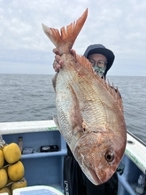 【釣果速報】茨城県幸栄丸で4.50kgのど迫力マダイをキャッチ！！週末は大物マダイを捕まえに行きませんか？