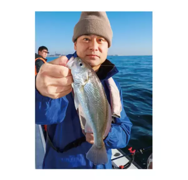 「まさに入れ食い状態　東京湾横浜沖でイシモチ祭り開催中の巻」の画像