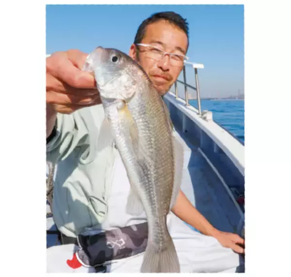 「まさに入れ食い状態　東京湾横浜沖でイシモチ祭り開催中の巻」の画像