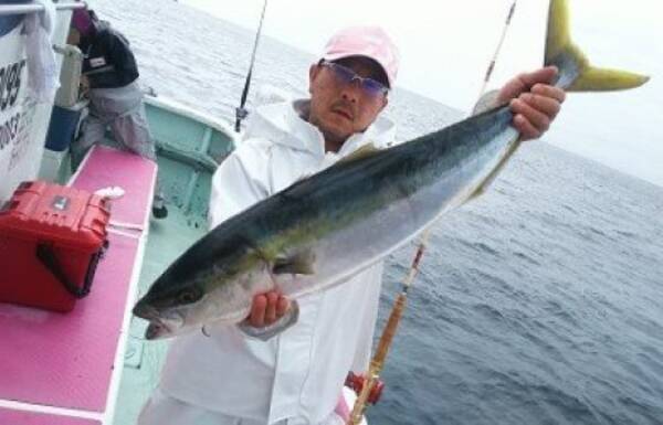 釣果速報 千葉県東丸が7 8kgの良型ブリゲットで好調 泳がせ釣りのダイナミックなファイトを絶対一度は体験して 22年9月26日 エキサイトニュース