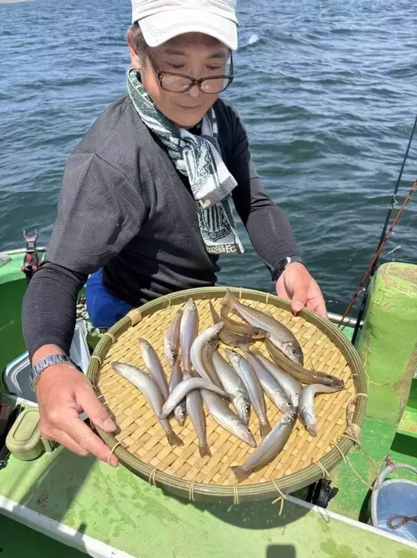 【釣果速報】神奈川県ちがさき丸で朝からキス好調！竿頭は32匹！今なら一日中数釣りが楽しめます！