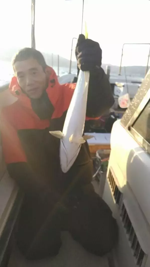 【釣果速報】兵庫県釣り船 福三郎でハマチやマダイを好調にゲット！人気魚種とたくさん出会える釣行はいつも大好評！