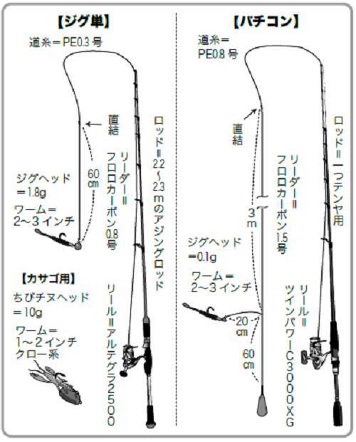 東京湾奥木更津港出船の夜ソフトルアー船 22年2月19日 エキサイトニュース 2 7