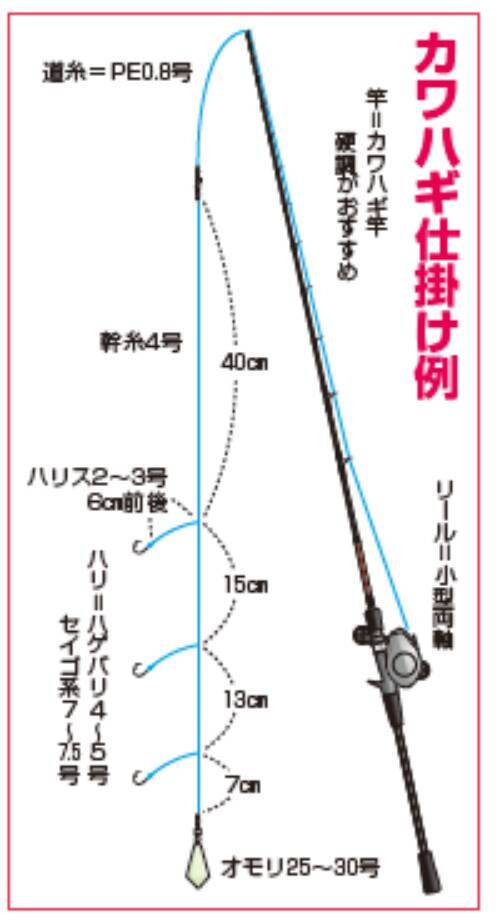 三浦半島長井荒崎港カワハギ