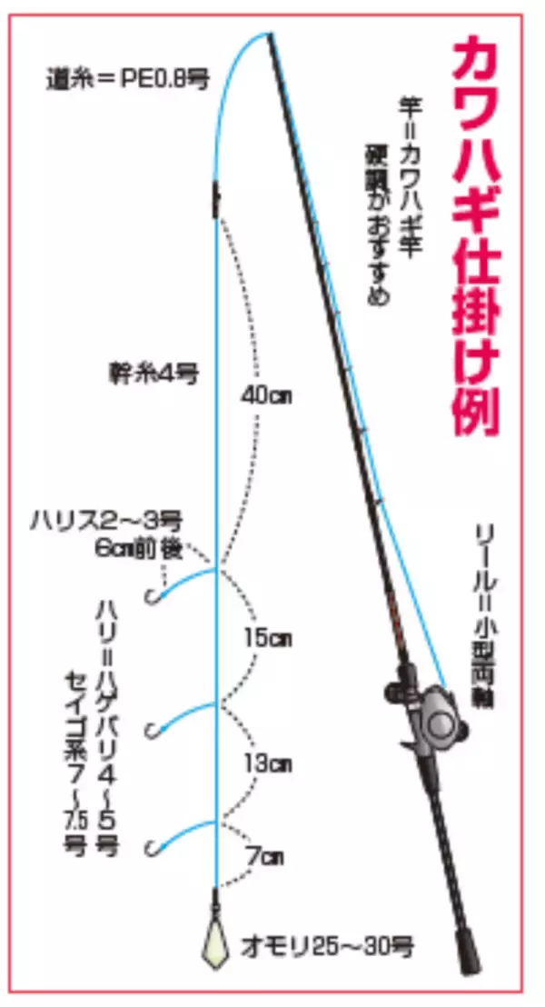 「三浦半島長井荒崎港カワハギ」の画像
