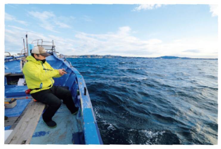 三浦半島長井荒崎港カワハギ