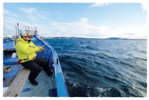 「三浦半島長井荒崎港カワハギ」の画像